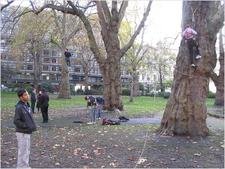 IMG_0526