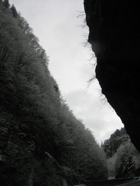 IMG_8144