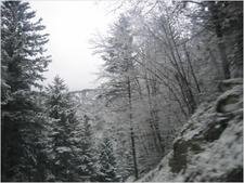 IMG_8136