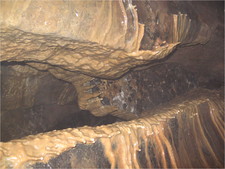 jarvist_frost-derbyshire_giants-IMG_0352