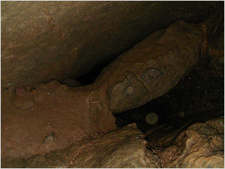 jackin lam - SANY0028