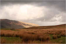 jana carga - bullpot farm -img_2266