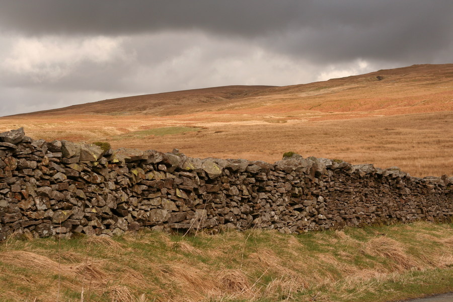 jana carga - bullpot farm -img_2267