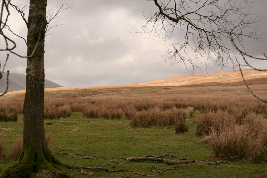 jana carga - bullpot farm -img_2268