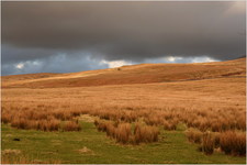 jana carga - bullpot farm -img_2280