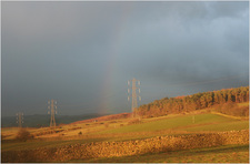 jana carga - bullpot farm -img_2284