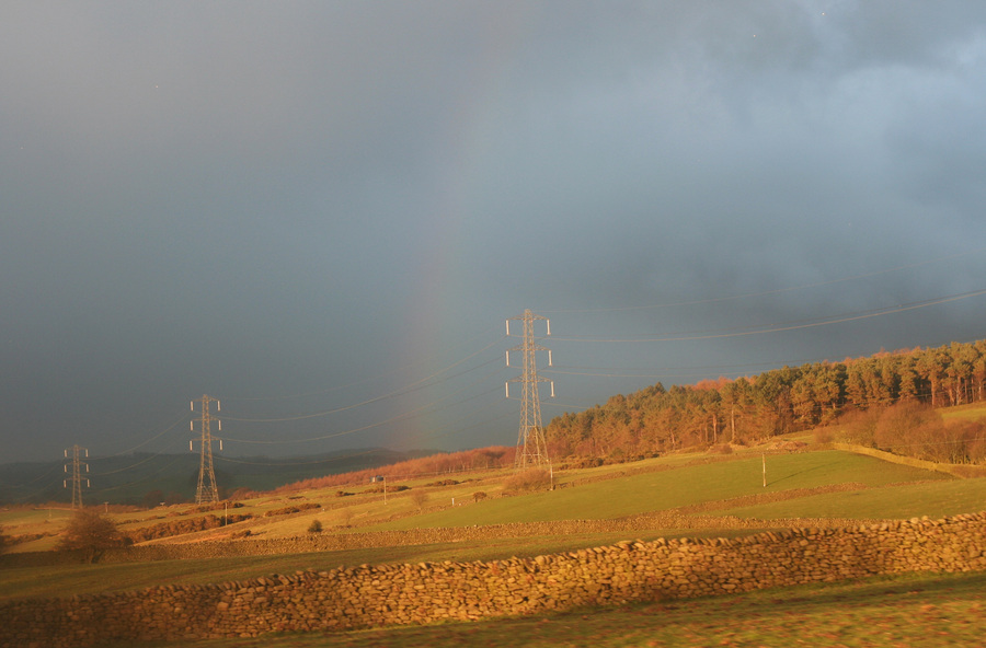 jana carga - bullpot farm -img_2284