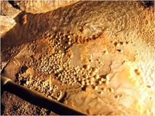 jarvist frost - canon a520 vivitar 283 -avalanche inlet gg - cave pearls raked with flash