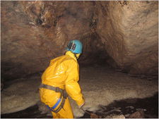 jarvist frost - jana eyeing up the sump