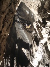 jarvist frost - canon g5 vivitar 283 - crw_5027_william_abseiling_down_centipede