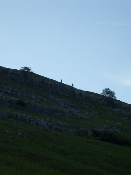 daniel greenwald - DSCF1015