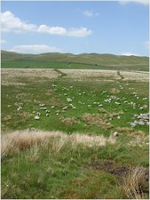 daniel greenwald - DSCF1032