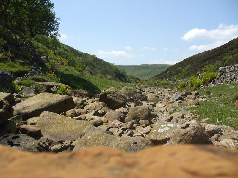 daniel greenwald - DSCF1036