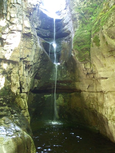 daniel greenwald - DSCF1044