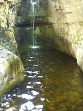 daniel greenwald - DSCF1046