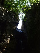 daniel greenwald - DSCF1047