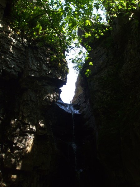 daniel greenwald - DSCF1047