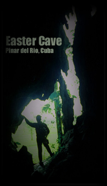 molotoventrance_small