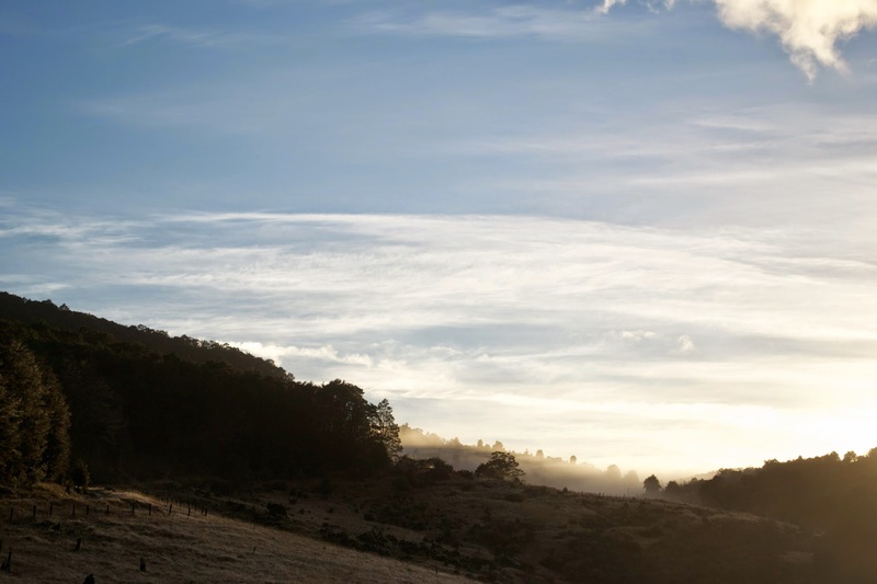 TanguyRacine-DSC_0175