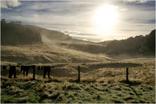 TanguyRacine-DSC_0186