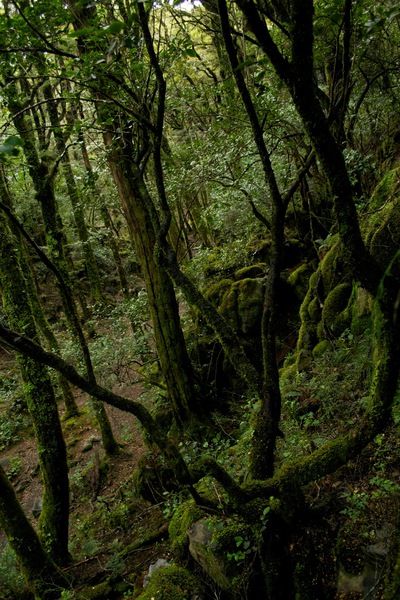 TanguyRacine-DSC_0211