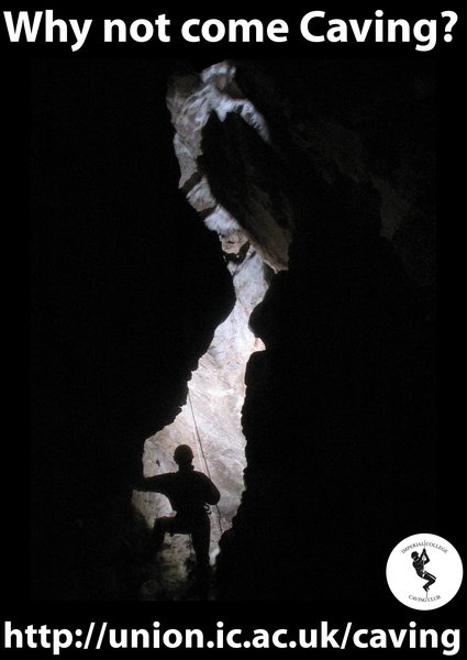 Tetley_K9_S_Silohuette