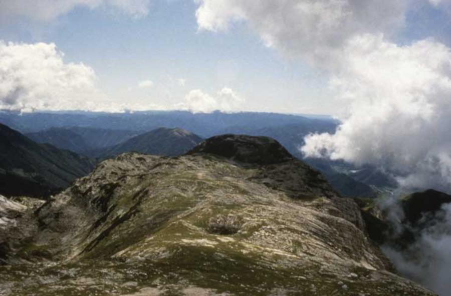 migplateau