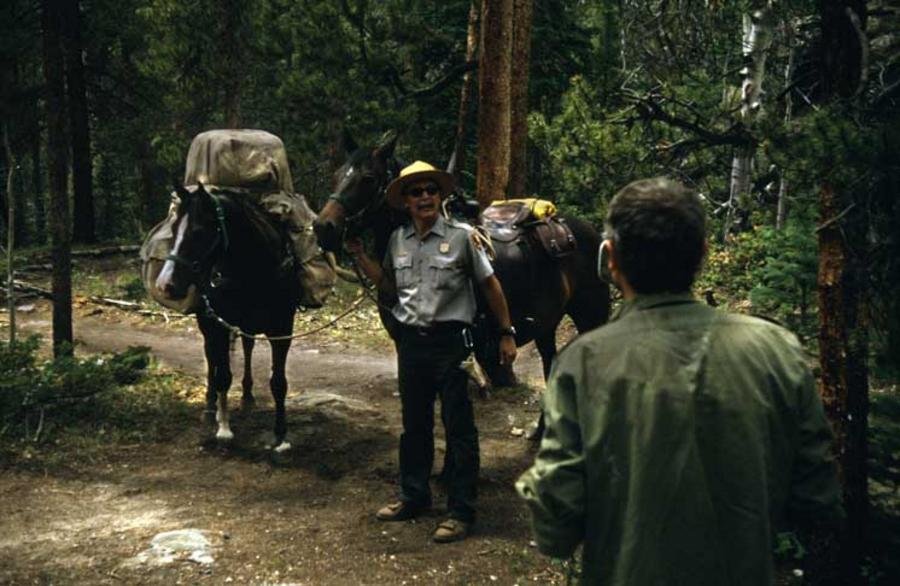 packhorse01
