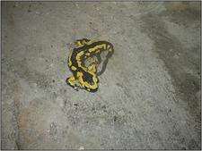 05-02_Vercors_iccc_cspa_39