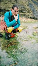 evetts12_RandomSprings-HaggGill