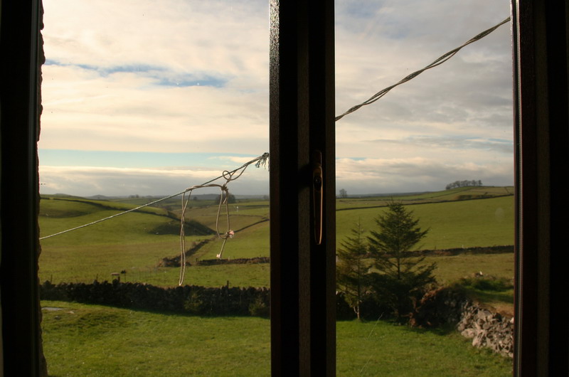 jana carga - IMG_1488