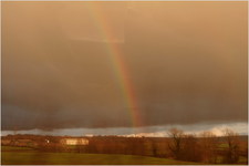 jana carga - bullpot farm -img_2289