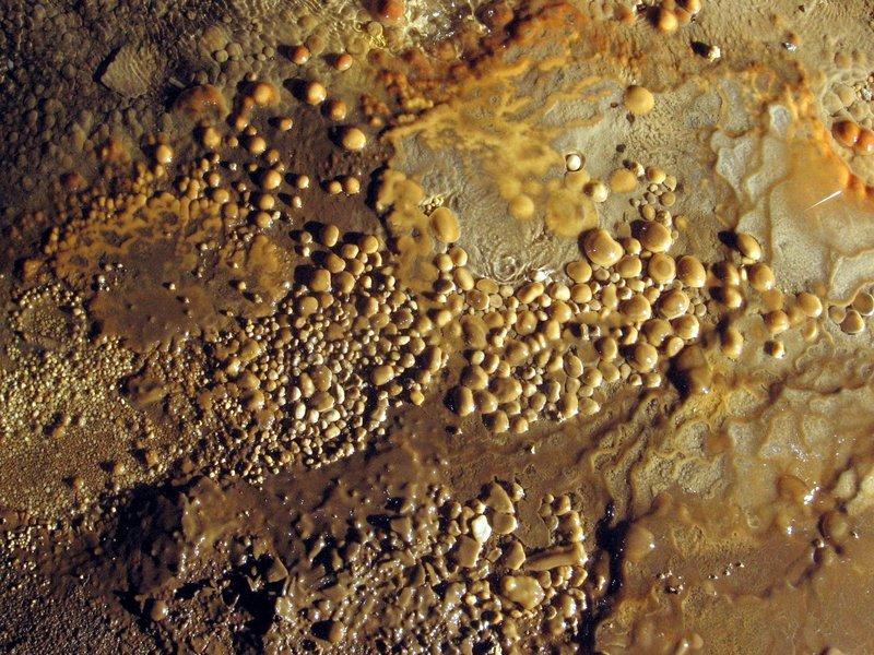 jarvist frost - canon a520 vivitar 283 -avalanche inlet gg - cave pearls diffuse light