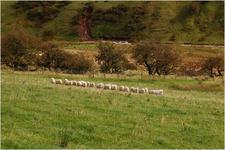 justin dane - nikon d40 - webres_DSC_2092