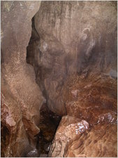 andy jurd - tatham wife - imgp0035