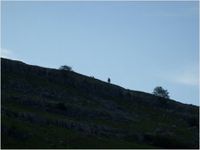 daniel greenwald - DSCF1016