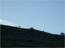 daniel greenwald - DSCF1018