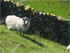 daniel greenwald - DSCF1027