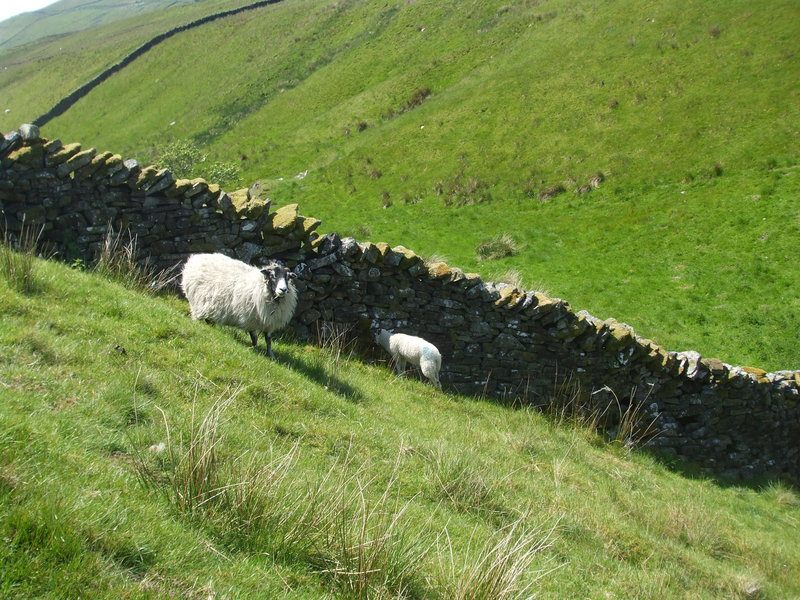 daniel greenwald - DSCF1028