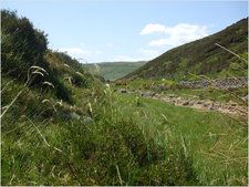 daniel greenwald - DSCF1034