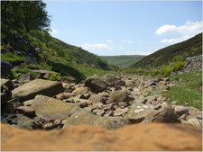 daniel greenwald - DSCF1036