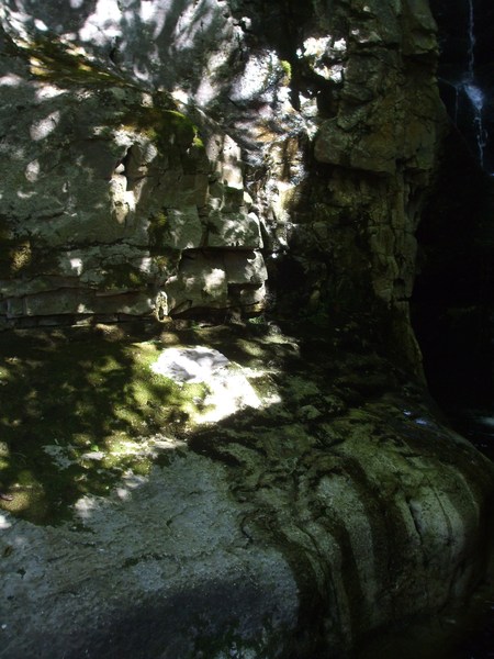 daniel greenwald - DSCF1042