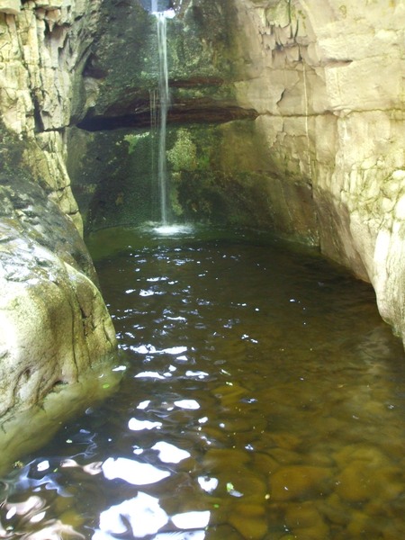 daniel greenwald - DSCF1046