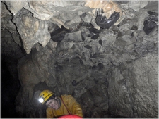 James_BergP8020981adjusted