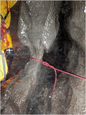 James_BergP8031011adjusted