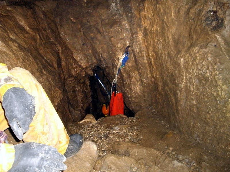 Oxlow - Charis Ang - GEDC0790