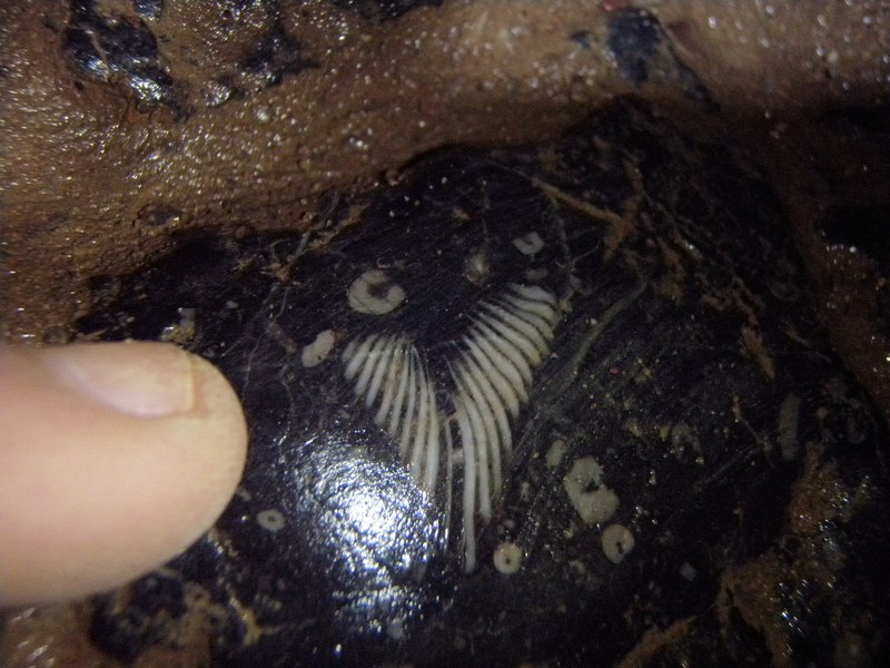 Simon Nouis - Eastwater Cavern - P1230059