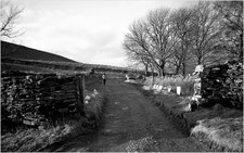 2012-02-19-JarvistFrost-OlympusXA-RolleiRetro100-Rodinal1p50-BullpotFarm01