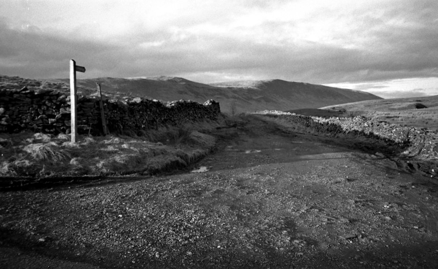 2012-02-19-JarvistFrost-OlympusXA-RolleiRetro100-Rodinal1p50-BullpotFarm07