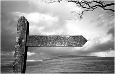 2012-02-19-JarvistFrost-OlympusXA-RolleiRetro100-Rodinal1p50-BullpotFarm08